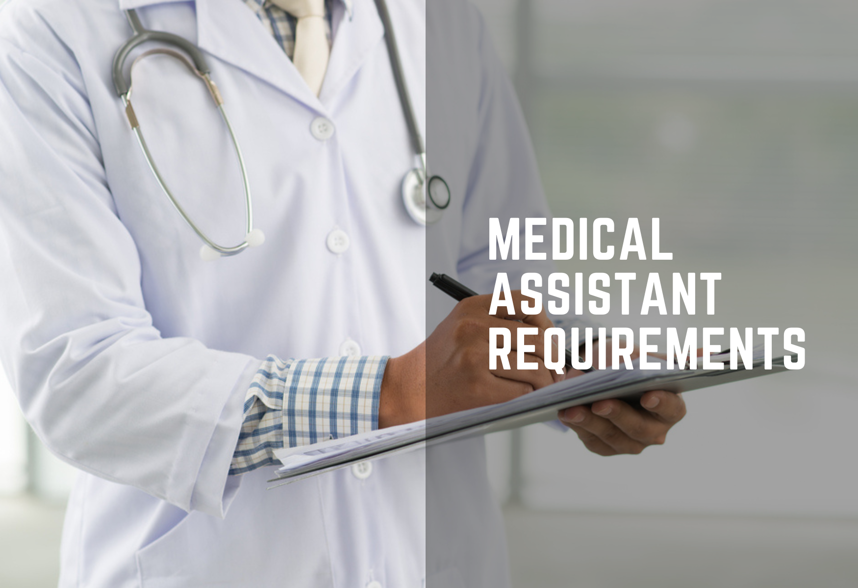 Educational And Legal Medical Assistant Requirements In 2023